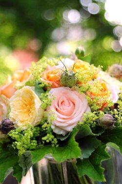 Hochzeiten